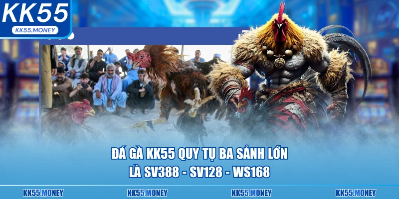 Quy tụ ba sảnh đá gà lớn tại KK55