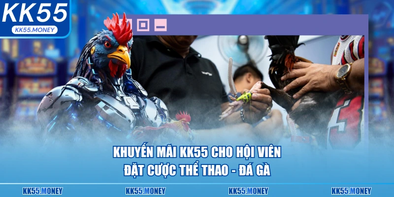 Khuyến mãi thể thao đá gà chỉ có tại KK55